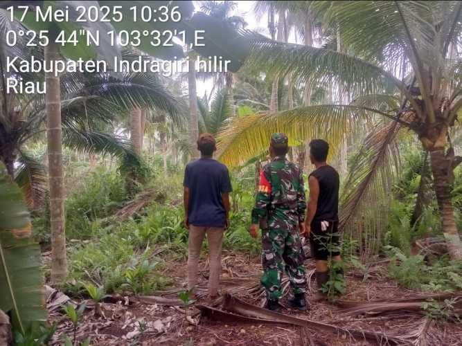 Babinsa Koramil 11/Pulau Burung  Gencar Patroli, Pastikan Desa Ringin Jaya Bebas Ancaman Kebakaran