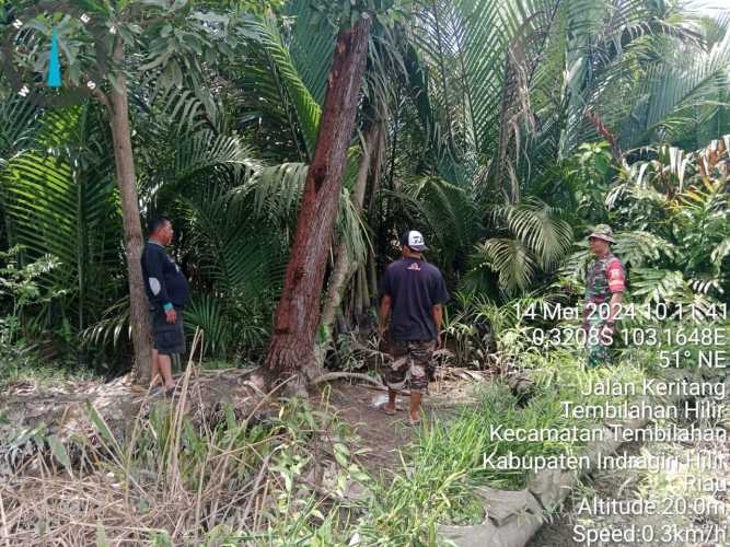 Serda Ronal Manalu Terus Membina Jaring Karhutlah