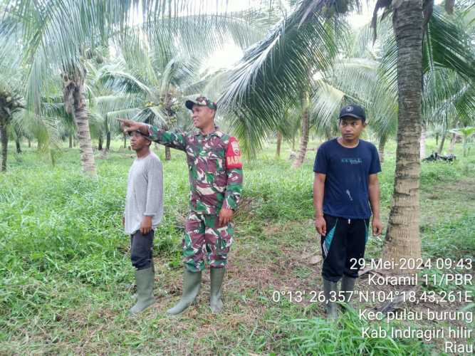 Babinsa Pulau Burung Membentuk Korelasi Penanganan Karhutlah Secara Terpadu