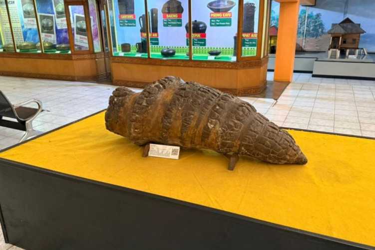 Kekayaan Geologi Riau: Museum Sang Nila Utama Pamerkan Mineral dan Fosil Langka