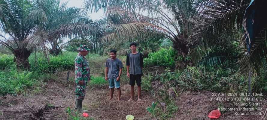 Babinsa Tanjung Siantar Edukasi Warga Menjaga Lahan dari Karhutlah