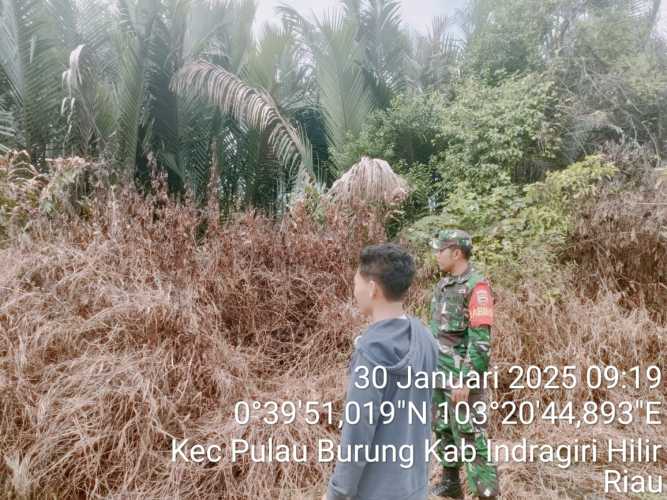 Deteksi Karhutlah, Babinsa Pulau Burung Lakukan Tindakan Pencegahan