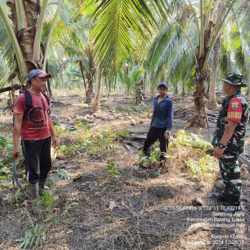 Babinsa Simpang Jaya  Gelar Monitoring Karhutlah Rutin