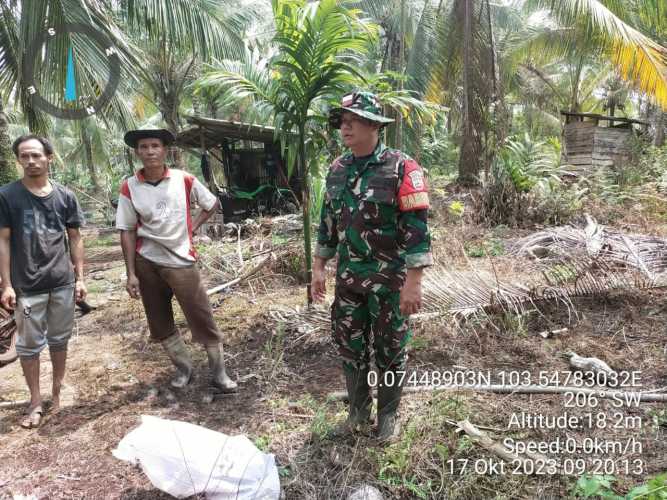 Babinsa Memfungsingkan  Jaring Dalam Kawasan Rawan Karhutlah