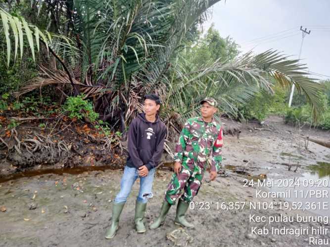 Babinsa Pulau Burung Memonitor Kawasan Pesisir Hutan