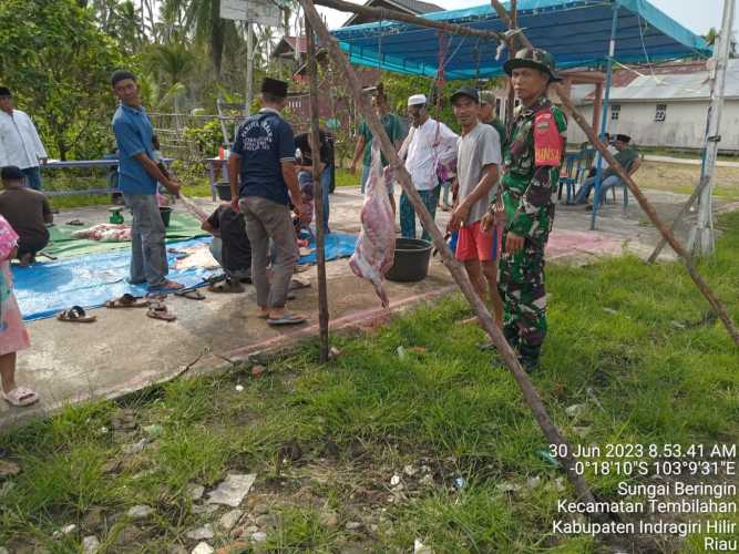 Sertu Deni Sutrisno Pantau Penyembelihan Hewan Qurban