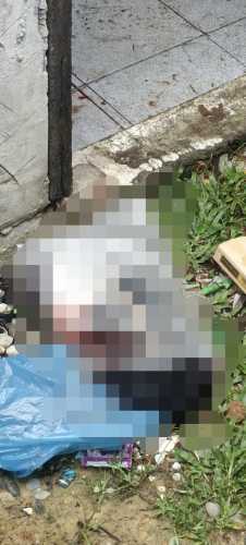 Geger Penemuan Mayat Bayi di Bagansiapiapi Ditemukan Tidak Bernyawa Lagi
