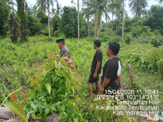 Babinsa Serma Nuryadi Lakukan Inspeksi Lahan dan Patroli Tapal Batas di Tembilahan Hilir