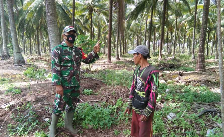 Babinsa Harapkan Petani Bijak dalam  Mengelola Lahannya