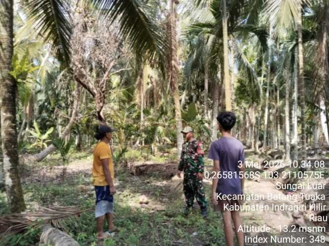 Babinsa Sungai Luar Cek Kawasan Tapal Batas Terluar Desa, Jaga Kamtibmas Tetap Kondusif