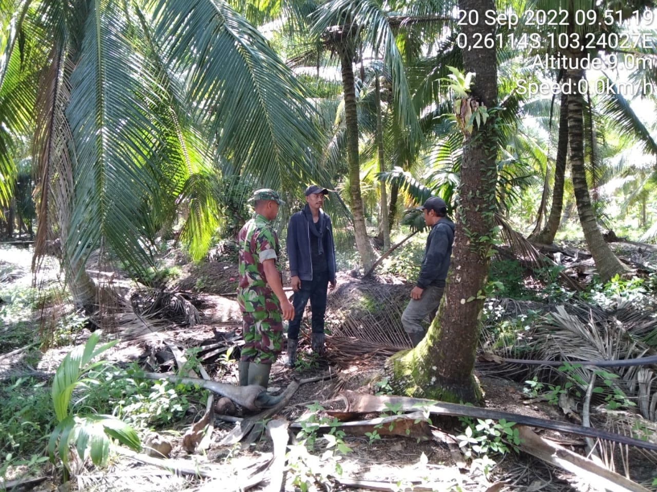 Serda Safrijon Babinsa Koramil 12/Batang Tuaka Laksanakan Pantauan Titik Api