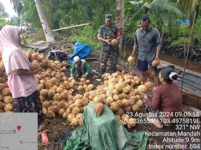 Babinsa Mandah Lakukan Komunikasi Secara Interaktif dengan Petani Kopra