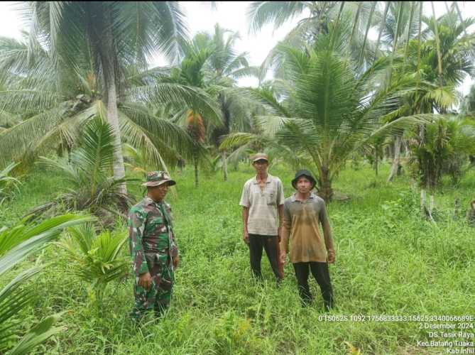 Koptu Sihabuddin Babinsa Koramil 12/Batang Tuaka Sharing Cegah Karhutlah