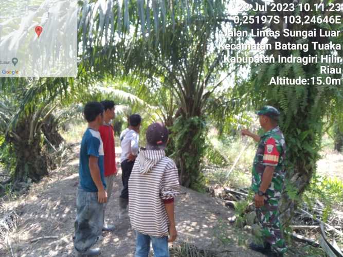 Hari Kehari Babinsa Bersama Tiga Pilar Patroli Karhutla