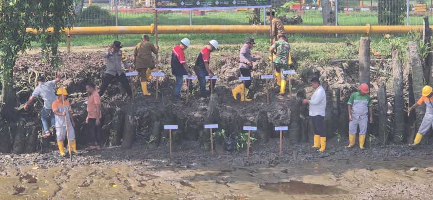 Mengembalikan  Benteng Hijau Pesisir, Kapolsek Iptu Iwan Saputra Tegaskan Mangrove sebagai Kunci Mitigasi Bencana di Indragiri Hilir