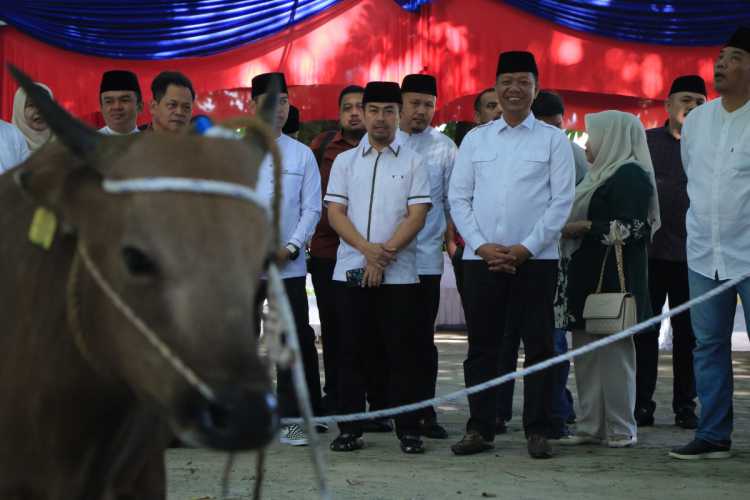 Pemko Pekanbaru Sembelih 34 Ekor Hewan Kurban, Disaksikan Pj Walikota