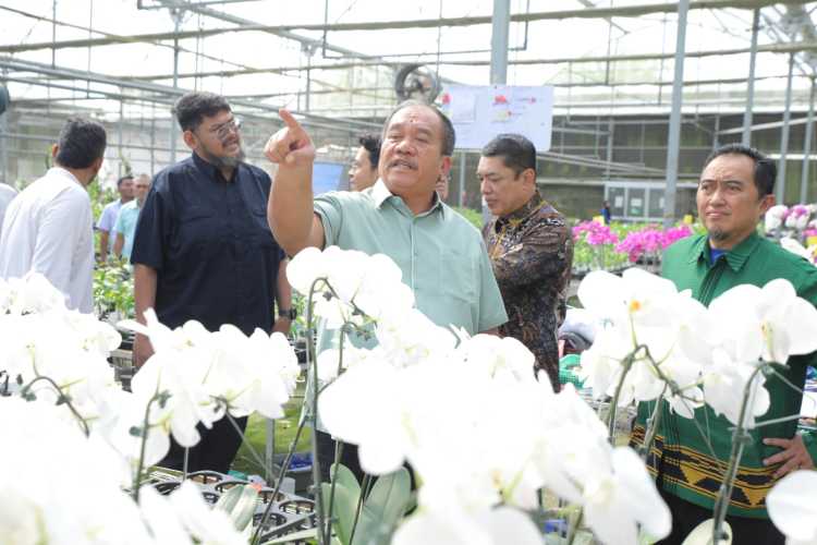 KPDBU Rumah Sakit Bertaraf Internasional Dibahas, Asahan Siap Jadi Pusat Layanan Kesehatan Pantai Timur