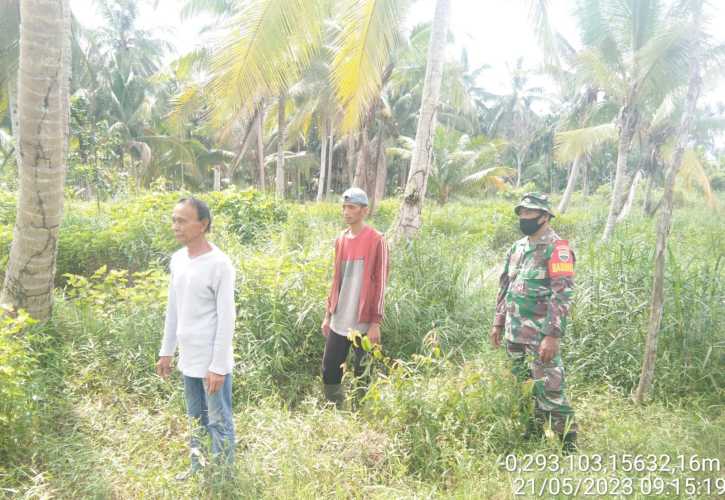 Cegah karlahut Sertu Syafriadi Koto Sisir Ladang Masyarakat