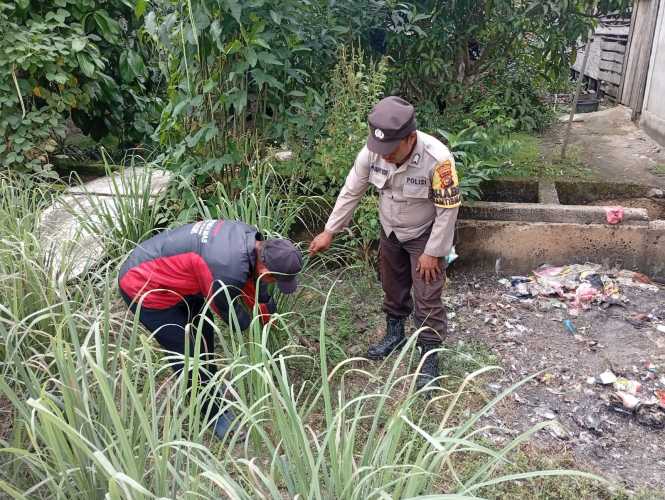 Personel Polsek Enok Dorong Pemanfaatan Lahan Pekarangan untuk Ketahanan Pangan dan Kesehatan