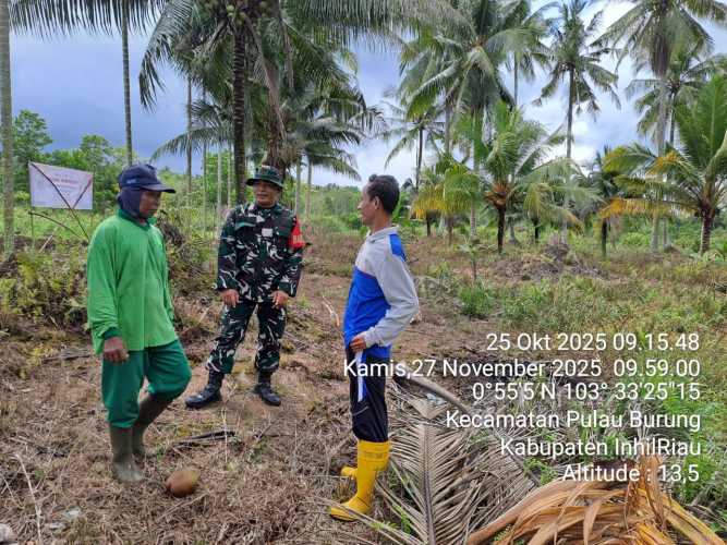 Babinsa Pulau Burung Menjaga Stabilitas Keamanan Serta Tapal Batas Wilayah