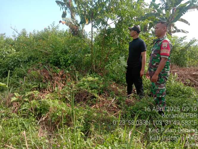 Babinsa Koramil 11/Pulau Burung Lakukan Patroli Pengawasan Lahan Tidak Produktif untuk Cegah Karhutla