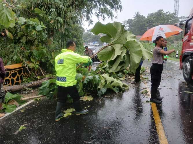 Polsek Jeruklegi Gerak Cepat Tangani Pohon Tumbang di Jalur Jeruklegi - Wangon