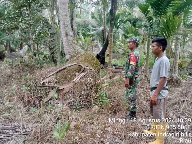 Kopda Rewan Hutabarat Lakukan Patroli Terpadu di Desa Ringin Jaya