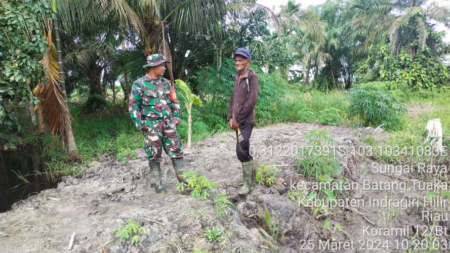 Babinsa  Survey  Peningkatan Panen Petani