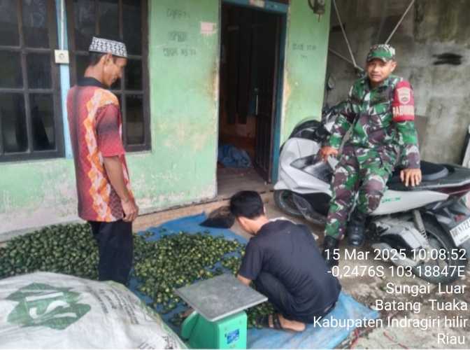 Babinsa Koramil 12/Btk Jaga Stabilitas Harga Pinang di Bulan Ramadhan