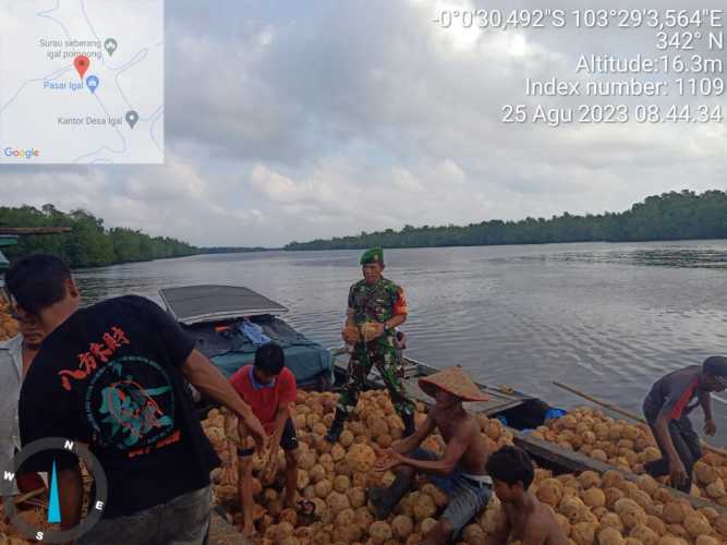 Babinsa Dengarkan Keluhan Petani Kelapa Akan Harga Jual