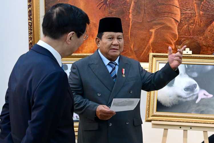 Presiden Prabowo Beri Nama Bayi Panda: Satrio Wiratama, Simbol Keberanian dan Kemuliaan