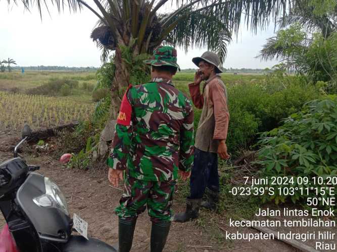 Sertu M.Yasin Lakukan Patroli Karhutlah di Desa Binaan