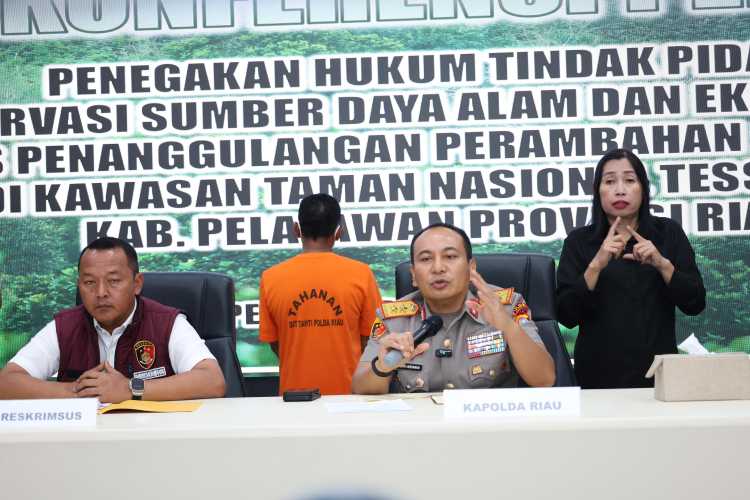 Polda Riau Tangkap Penjual Lahan di Hutan Tesso Nilo