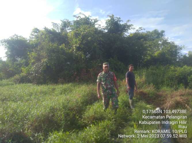 Babinsa Menjaga Lahan dari Karhutlah