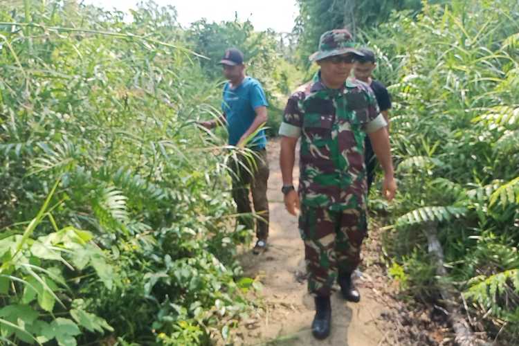 Babinsa Tembilahan Hilir Laksanakan Jelajah Tapal Batas dan Monitoring Hotspot