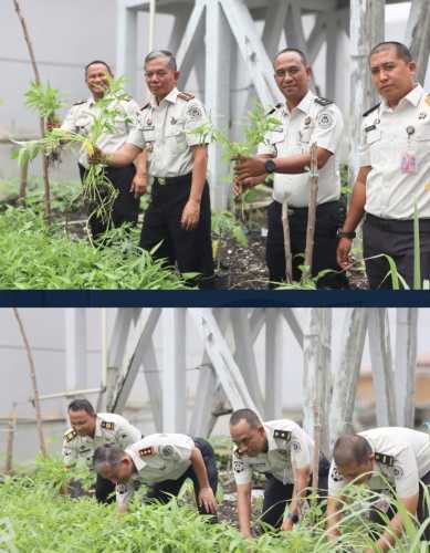 Hijaukan Harapan, Lapas Tembilahan Panen 71 Kg Kangkung Dukung Ketahanan Pangan