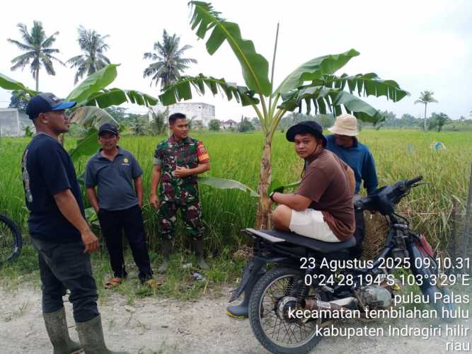 Babinsa Pulau Palas Gelar Patroli Kamtibmas, Antipasi Ganguan Keamanan dan Ketertiban
