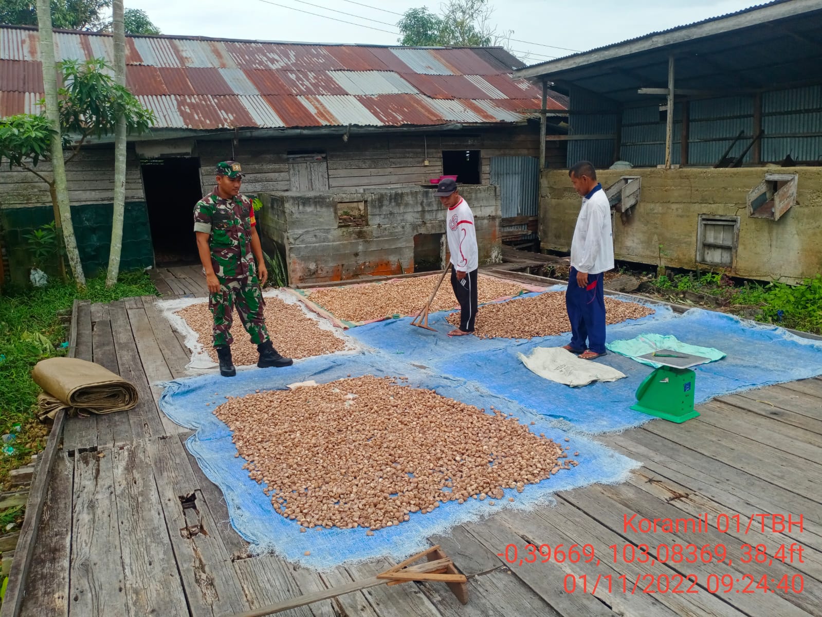 Serda Ali Sabri Babinsa Koramil 01/Tembilahan Kunjungi Petani Pinang