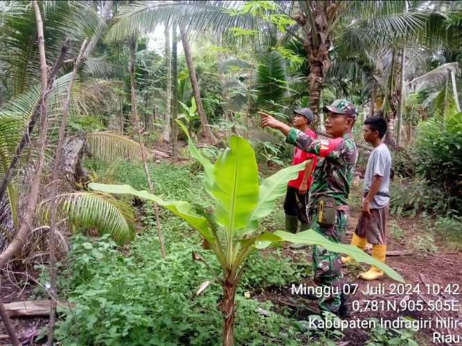 Kopda Rewan Hubarat Ciptakan Kawasan Lahan yang Bebas dan Api