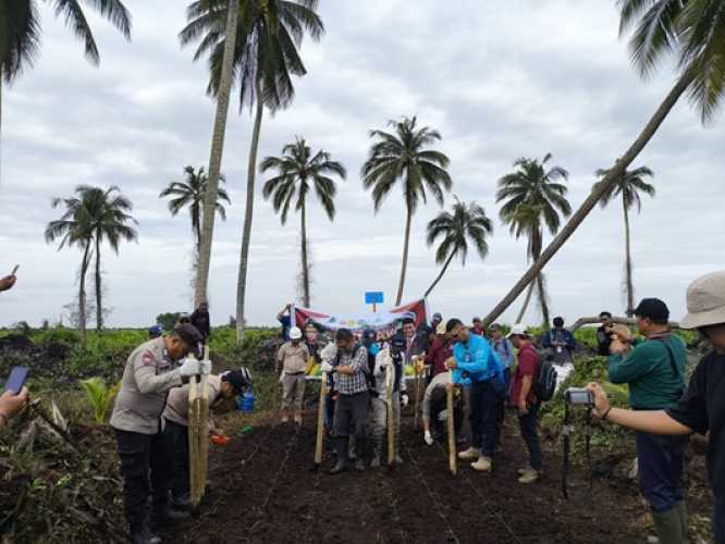 Kontribusi Nyata PT RSUP dalam Program Ketahanan Pangan Nasional