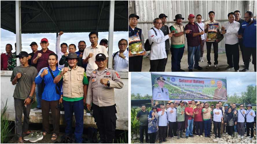 Produktivitas Padi Inhil Masih Tertinggal, Kadistan Inhil Minta Dukungan Kementerian untuk Pengembangan Benih Adaptif
