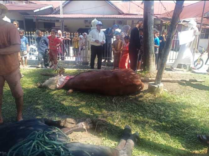 Sapi Keluarga Polda Riau Dipotong di Masjid Muthmainnah Jalan Kartini Pekanbaru