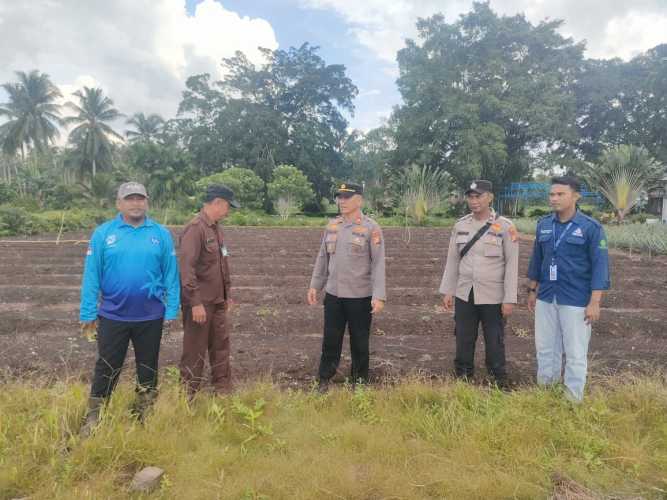 Dukung Ketahanan Pangan, Kapolsek Pulau Burung Monitoring Persiapan Tanam Jagung di Lahan PT RSUP PKB