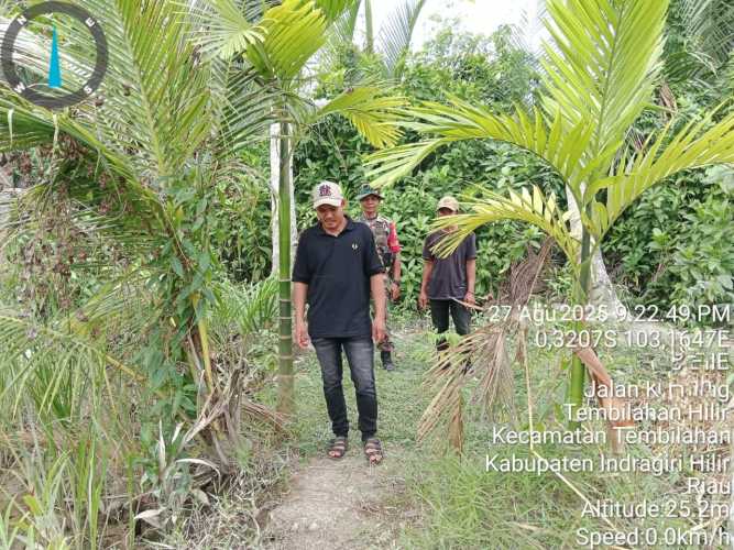 Babinsa Koramil 01/Tbh Kodim 0314/Inhil Gencar Patroli dan Sosialisasi Karhutla di Tembilahan Hulu