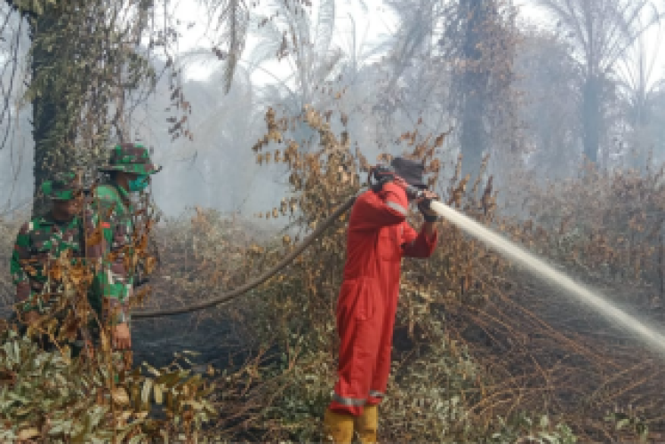 Waspada Karhutla! 46 Titik Panas Terdeteksi di Riau