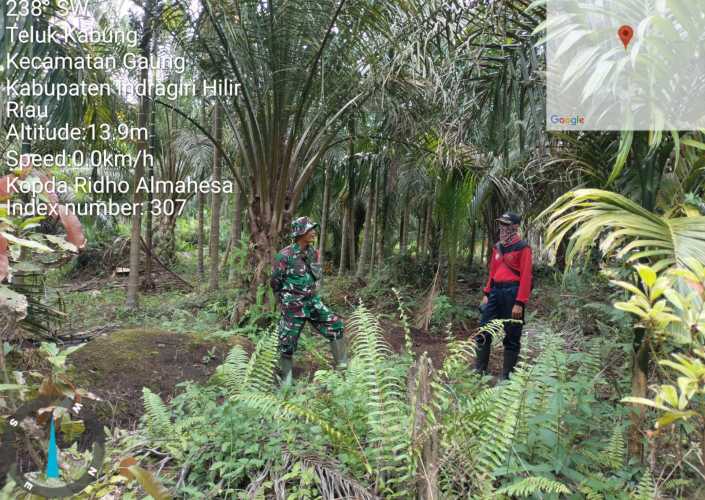 Kopda Ridho Patroli Lahan Perkebunan Sawit Lokal