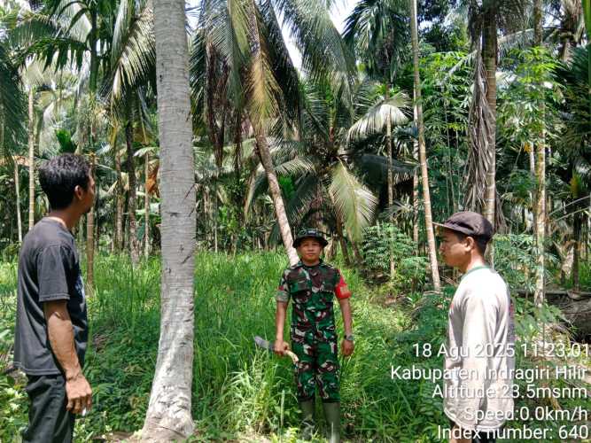 Babinsa Koramil 12/BTK Giat Sosialisasi dan Patroli Karhutla, Jaga Kelestarian Alam di Tanjung Siantar