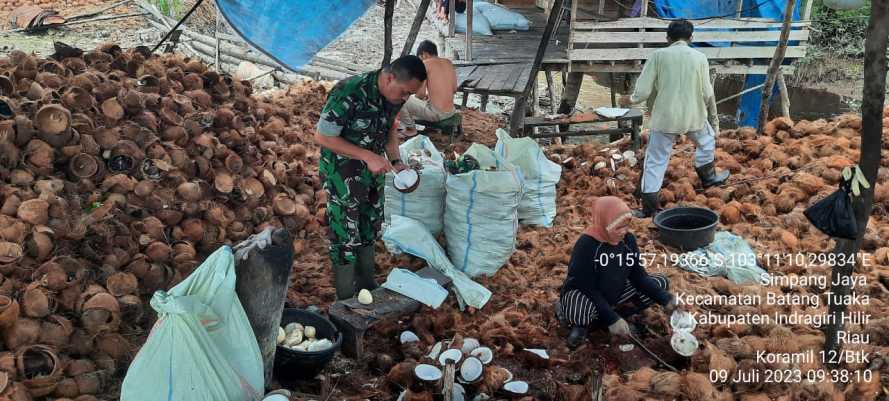 Guna Meningkatkan Harga Jual,Babinsa cek Kualitas Hasil Komoditas Perkebunan warga