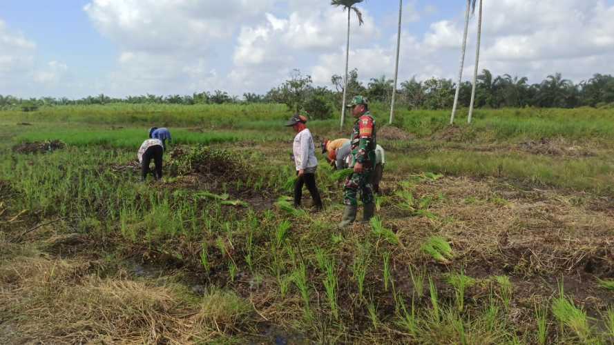 Serda Sukiran Sampaikan Laporan Progress Program Ketahanan Pangan