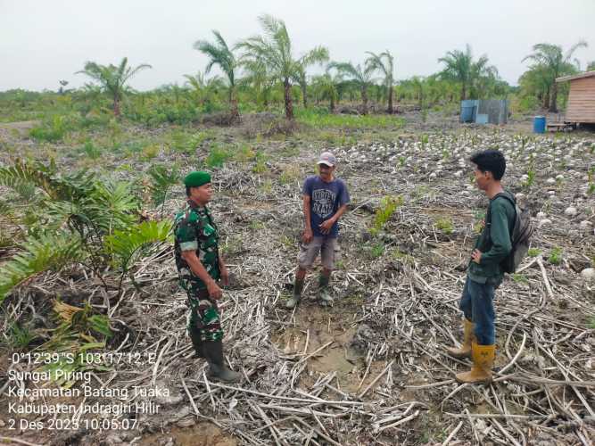 Babinsa menjaga tapal batas wilayah dari potensi bencana alam